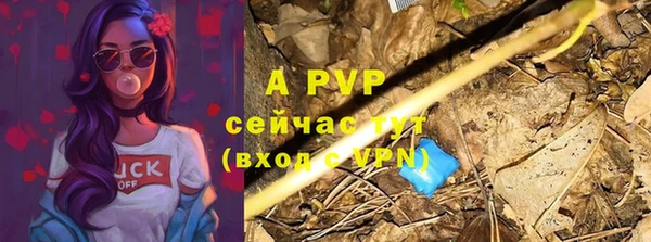 крисы Беломорск