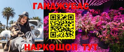 прущий лед Бийск