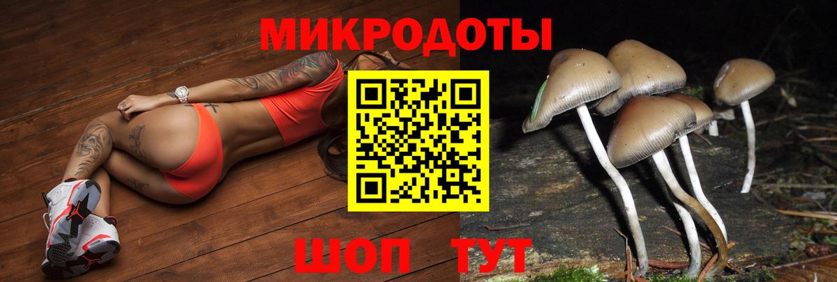 Псилоцибиновые грибы мицелий  Псилоцибиновые грибы прущие грибы  дарнет шоп  Гудермес  Вход с VPN 