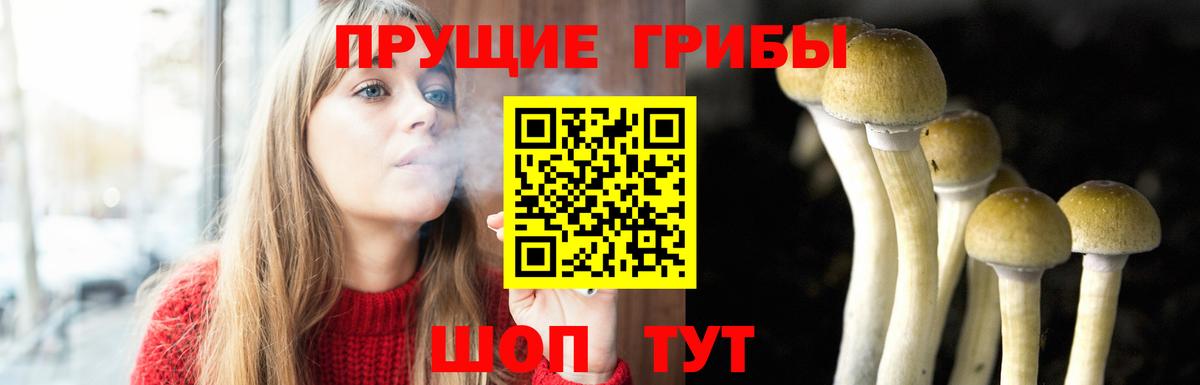 Галлюциногенные грибы Magic Shrooms Гудермес