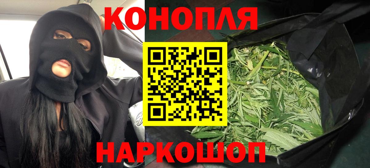 Марихуана конопля Гудермес